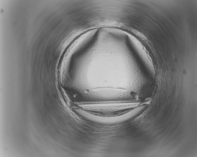 X0000052541423200507291839