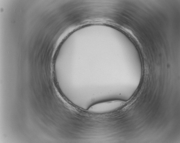 X0000052541424200507291839