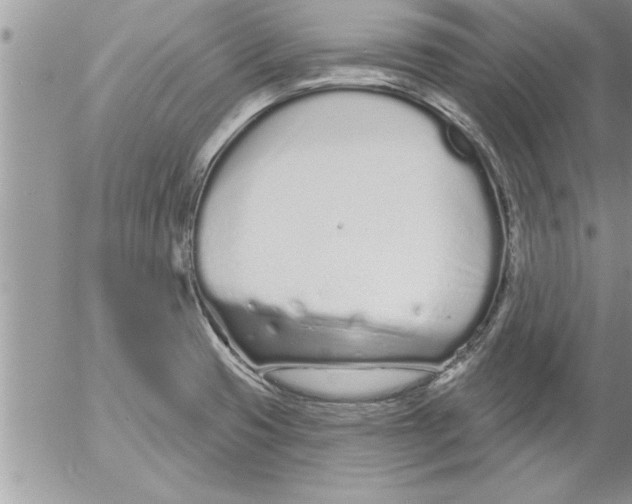 X0000052541425200507291839