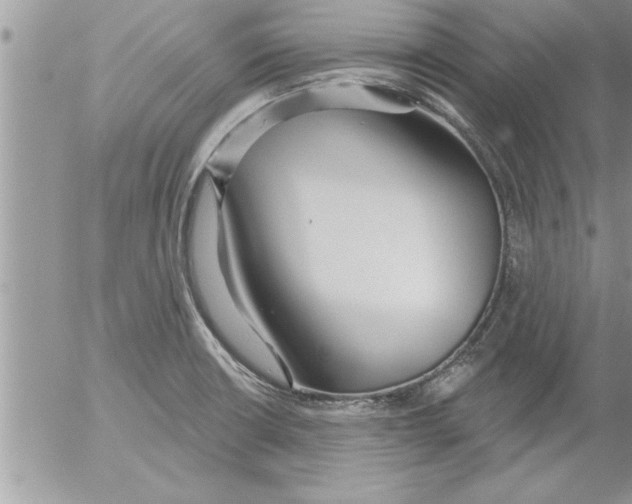 X0000052541426200507291839