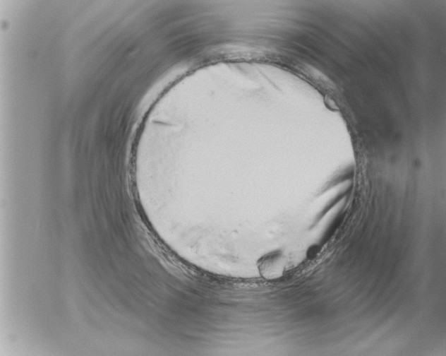 X0000052541427200507291839