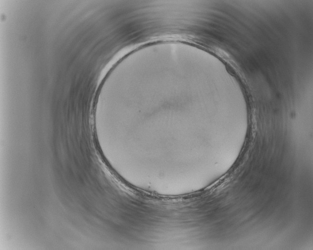 X0000052541428200507291839