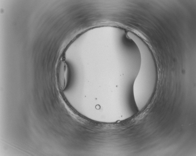 X0000052541430200507291839