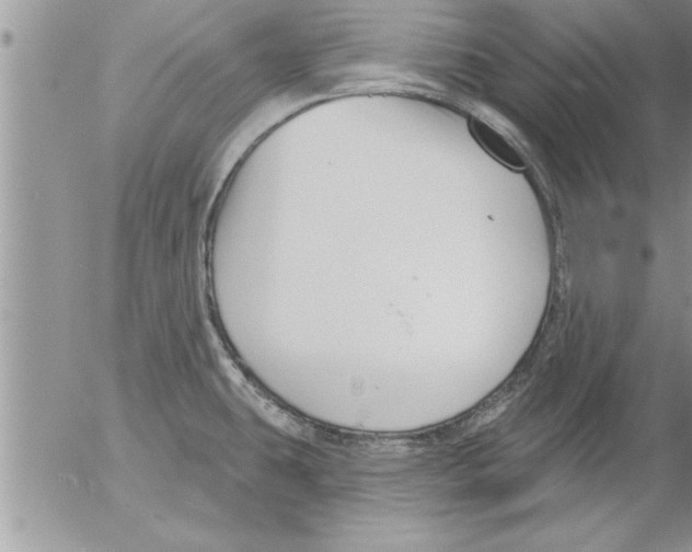 X0000052541431200507291839