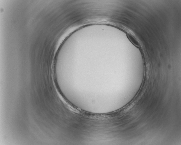 X0000052541432200507291839