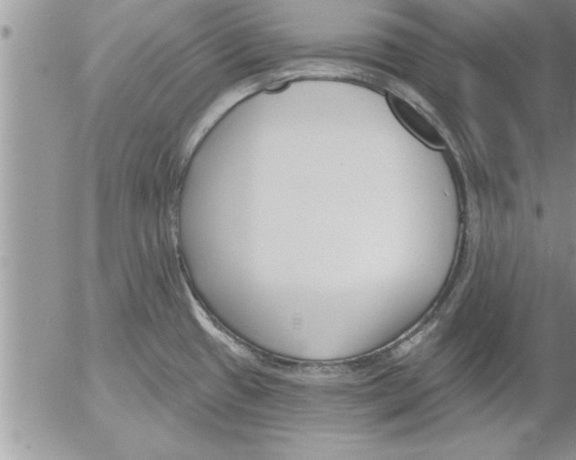 X0000052541433200507291839