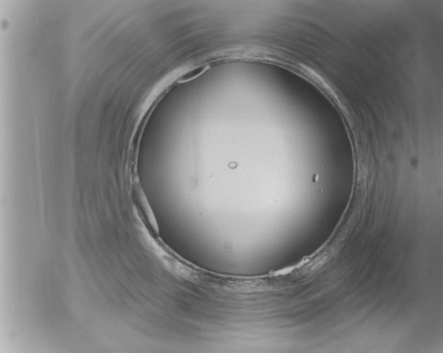 X0000052541434200507291839