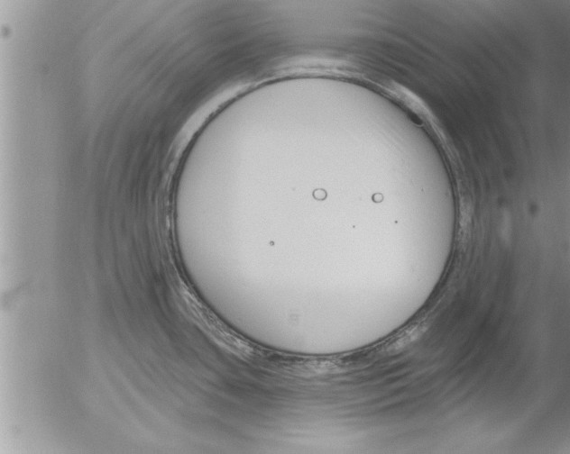 X0000052541435200507291839