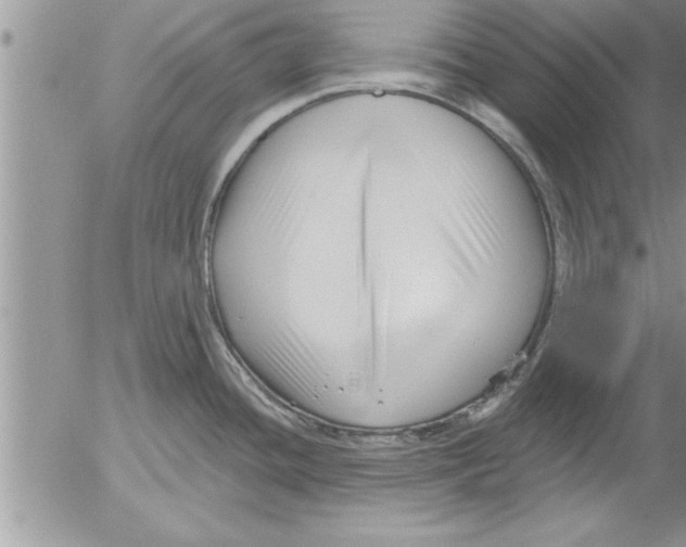 X0000052541436200507291839