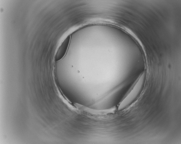 X0000052541437200507291839