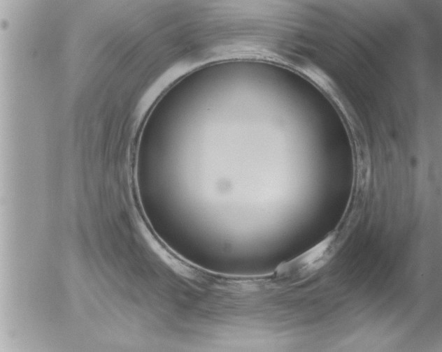 X0000052541438200507291839