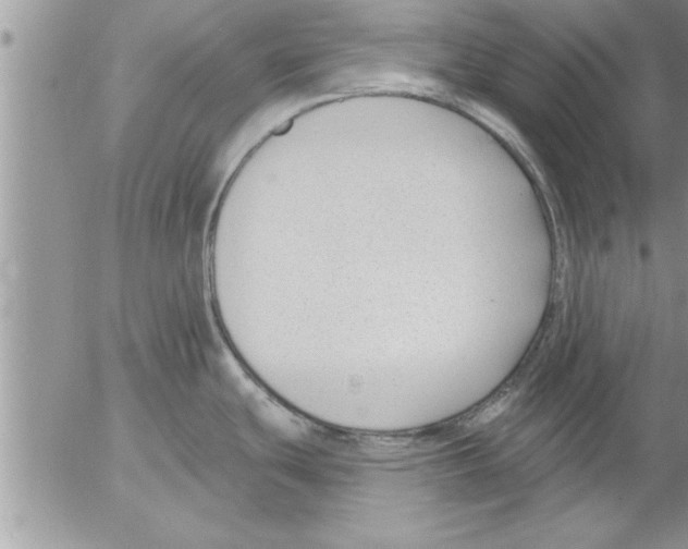 X0000052541439200507291839