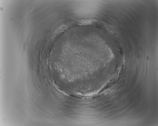 X0000052541441200507291838