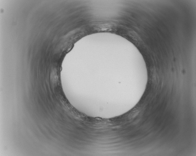 X0000052541442200507291838