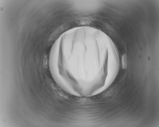 X0000052541443200507291838