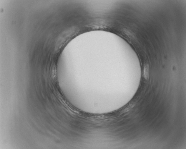 X0000052541444200507291838