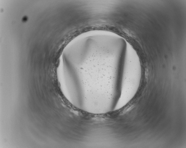 X0000052541445200507291838