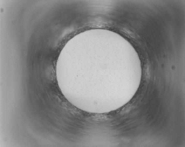 X0000052541446200507291838