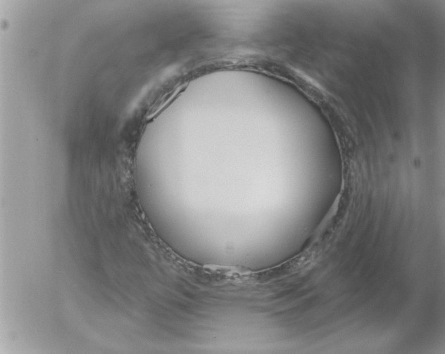 X0000052541447200507291838