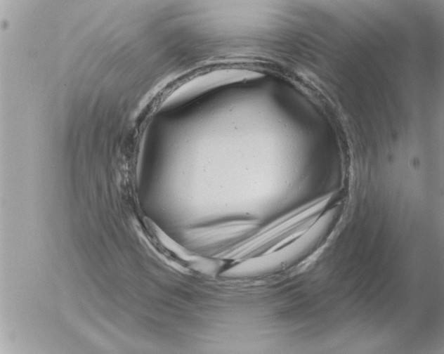 X0000052541449200507291838