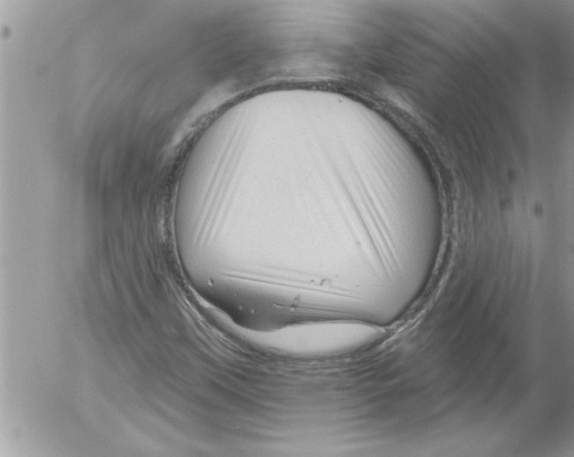 X0000052541451200507291838