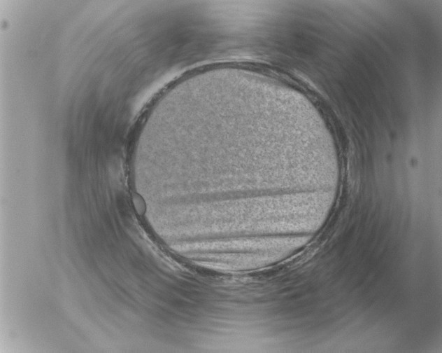 X0000052541452200507291838