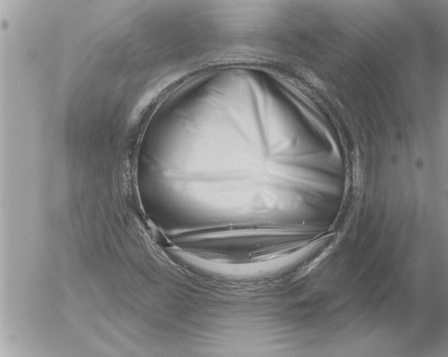 X0000052541453200507291838