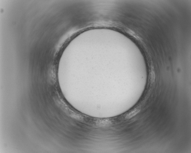 X0000052541454200507291838