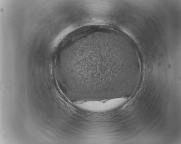 X0000052541455200507291838