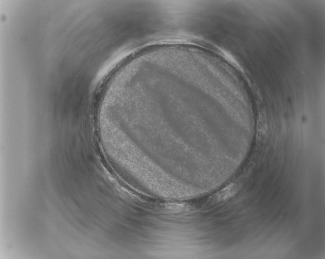 X0000052541456200507291838