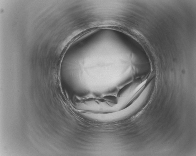 X0000052541457200507291838