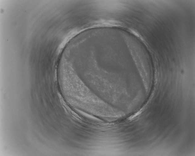 X0000052541459200507291838