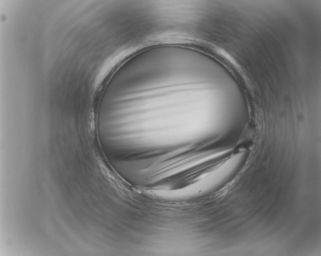 X0000052541461200507291838