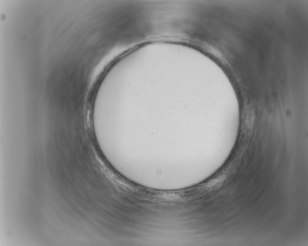 X0000052541462200507291838