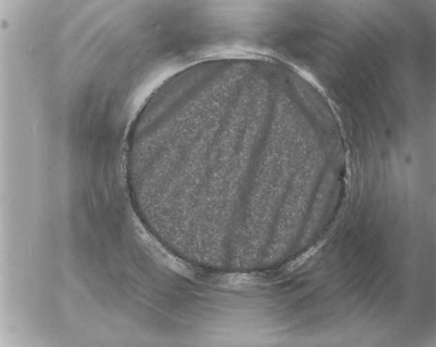 X0000052541463200507291838