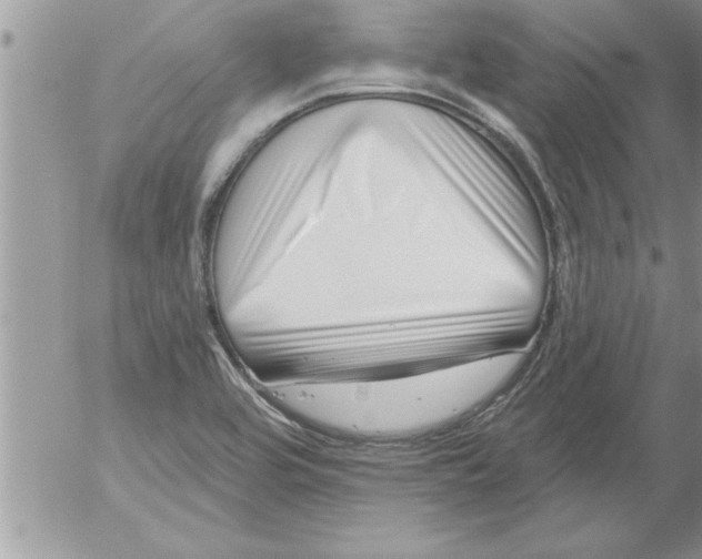 X0000052541464200507291838