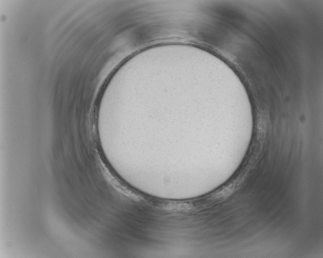 X0000052541466200507291838