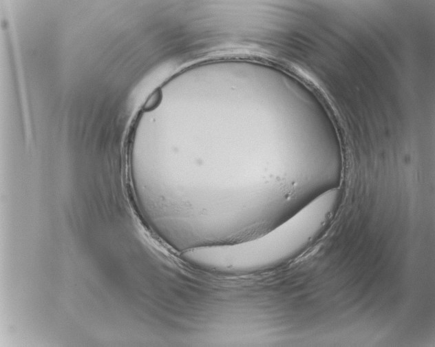 X0000052541467200507291838