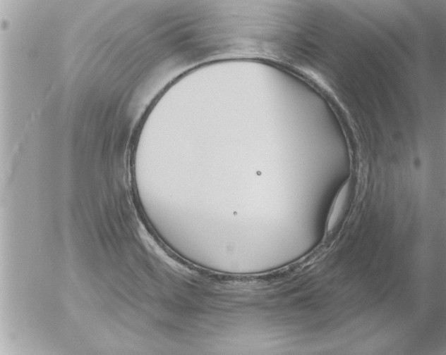 X0000052541468200507291838