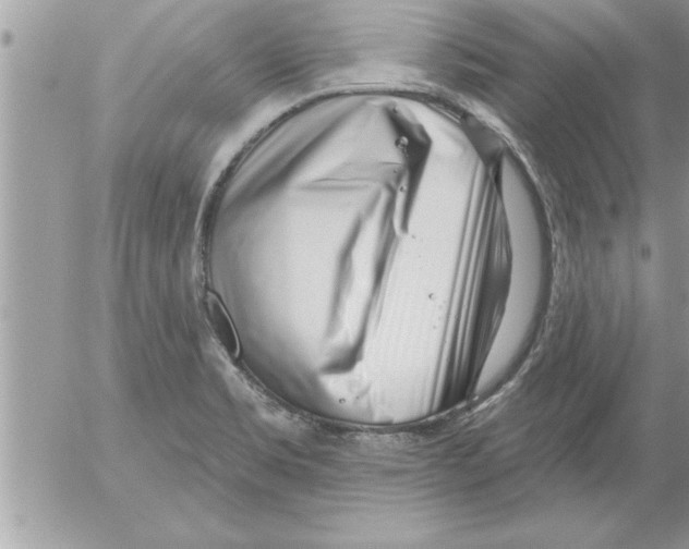 X0000052541469200507291838