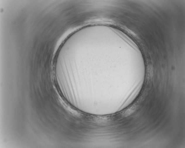 X0000052541470200507291838