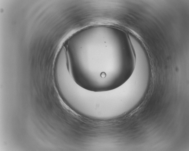 X0000052541471200507291838