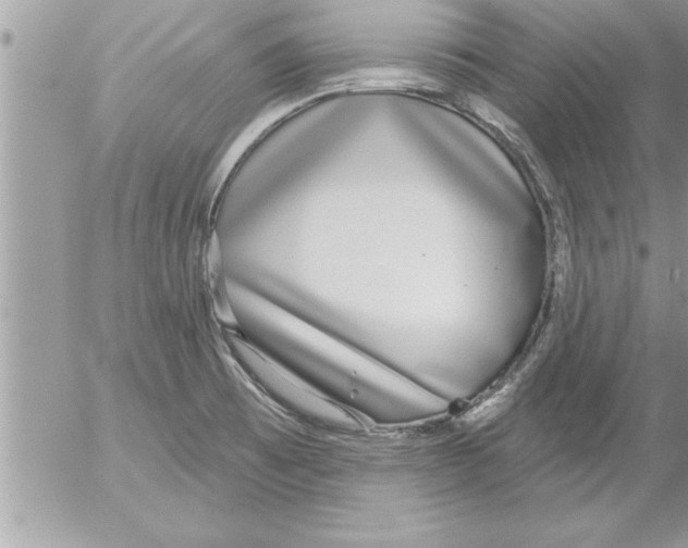 X0000052541473200507291838