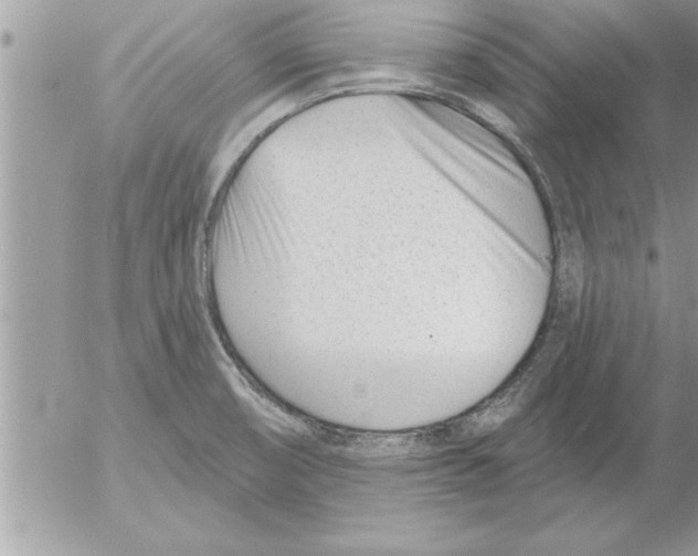 X0000052541474200507291838