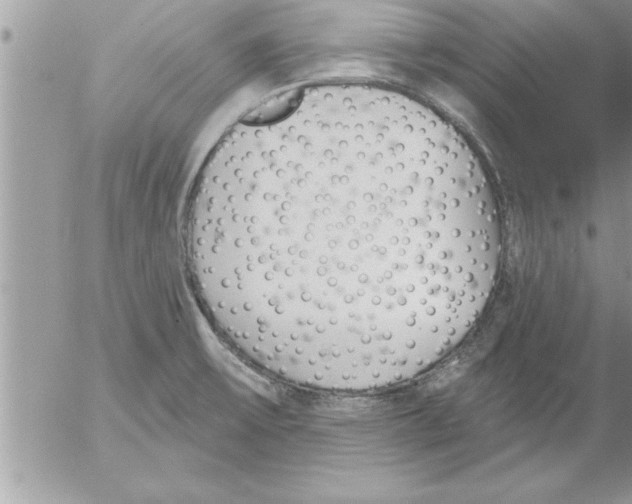 X0000052541475200507291838