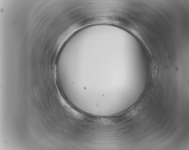 X0000052541476200507291838