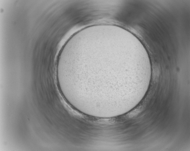 X0000052541478200507291838