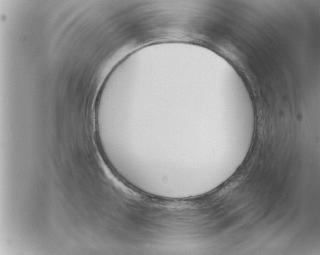 X0000052541479200507291838