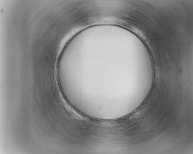 X0000052541480200507291838