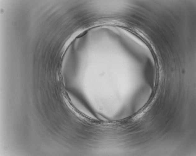 X0000052541481200507291838